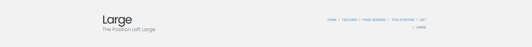 The Position Left Large